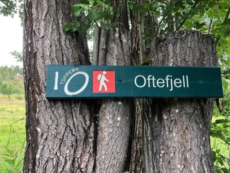Sjarmerende overnatting sentralt i Vest-Telemark Hoydalsmo Eksteriør bilde